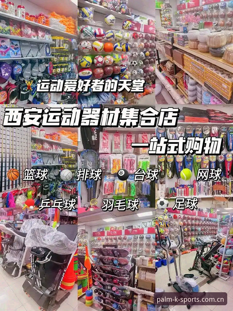 K体育手机版使用技巧全面解析：从下载到精通的一站式指南